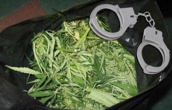 В Аскизском районе будут судить собиравшего коноплю подростка 