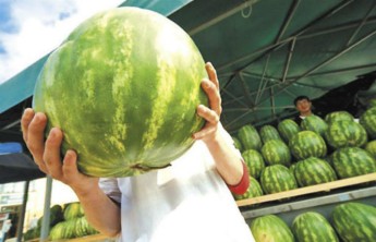 Роспотребнадзор посоветовал мыть арбузы с мылом