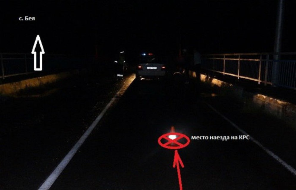 В Хакасии водитель врезался в стадо коров, пострадали три человека