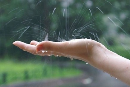 Конец недели в Абакане будет дождливым