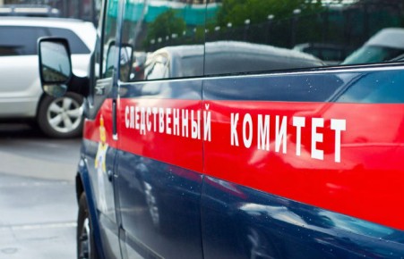 СКР начал проверку данных о смерти красноярского младенца из-за оторванной руки