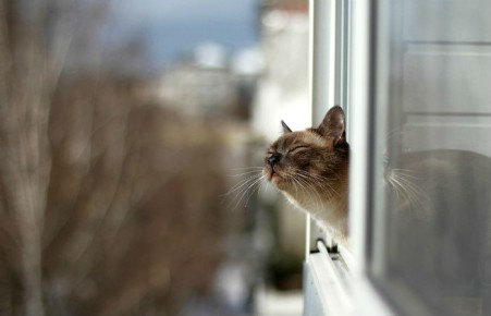 Резкое потепление может привести к подтоплениям в Хакасии