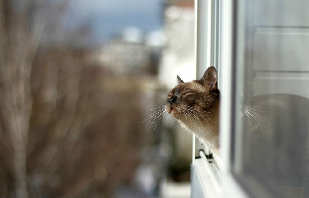 Резкое потепление может привести к подтоплениям в Хакасии