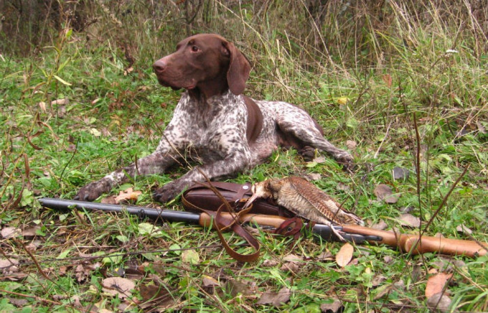 В Хакасии открывается сезон охоты