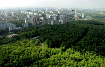 Вокруг Абакана предлагают создать зеленый щит