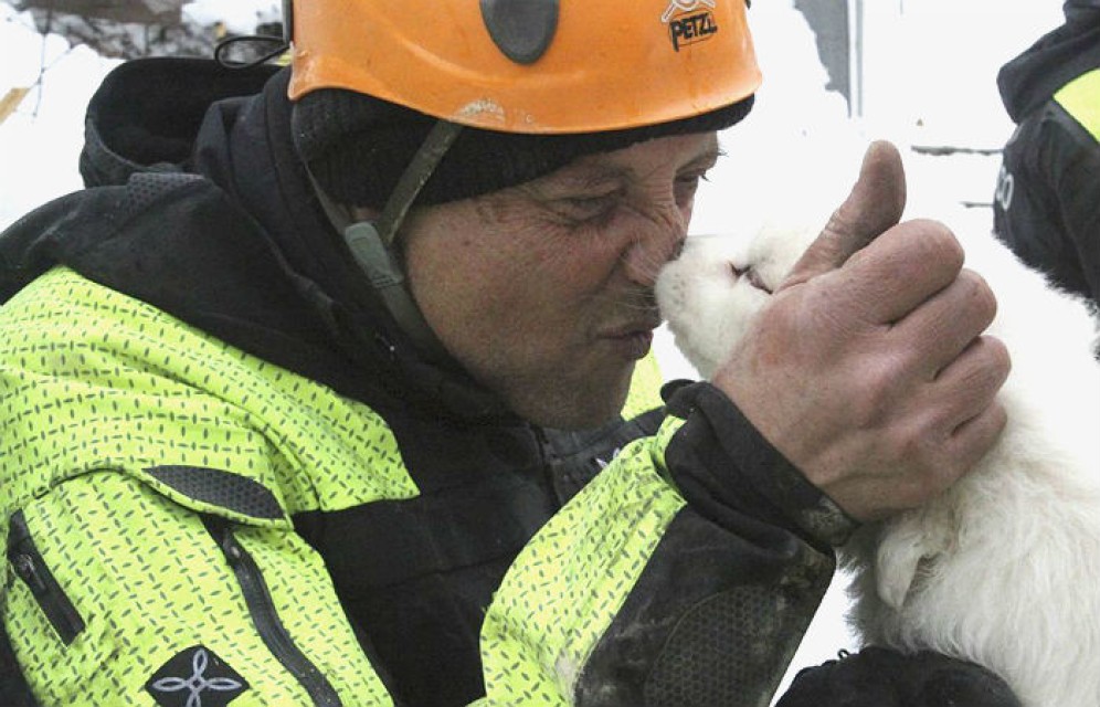 В Красноярске спасатели вызволили щенка, застрявшего под стройматериалами