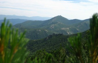 Пропавшие в тувинской тайге дети сами нашли дорогу домой