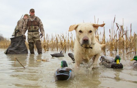 В Хакасии стартует осенний сезон охоты