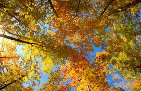 Прогноз на неделю: в Хакасию идёт похолодание