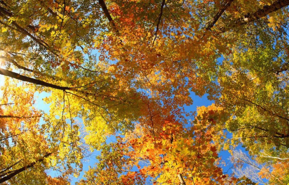 Прогноз на неделю: в Хакасию идёт похолодание