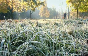 В Хакасии ожидаются заморозки