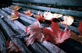 Хакасию ждет прохладная неделя