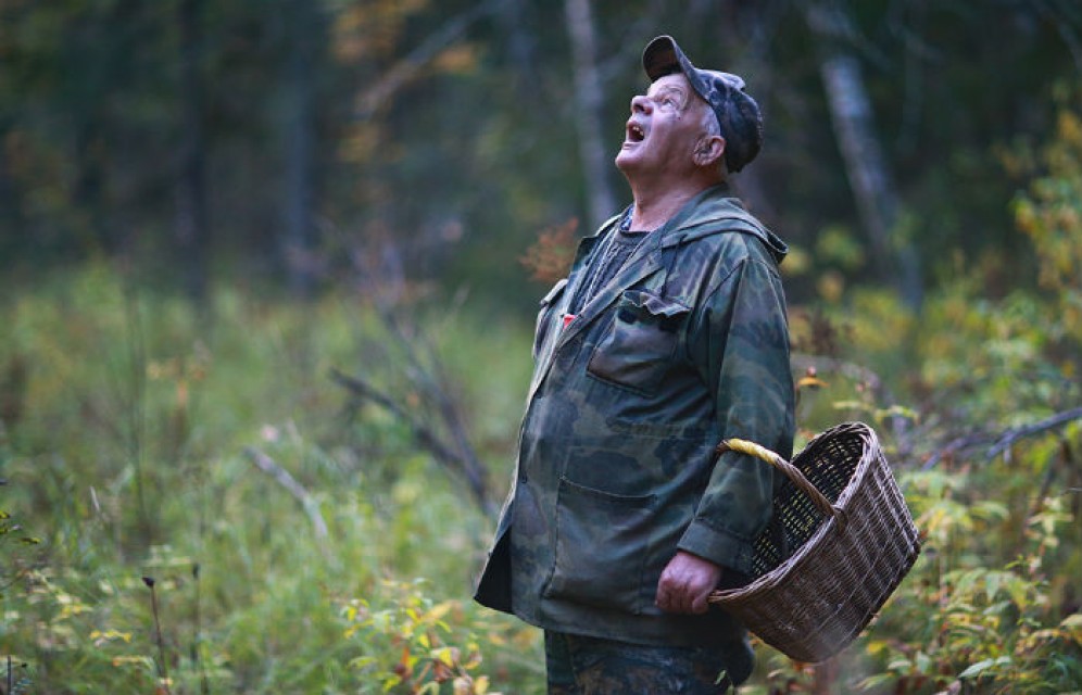 В Минусинском районе полицейские нашли заблудившихся в лесу грибников