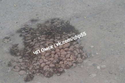 В Омске яму на дороге заделали картошкой