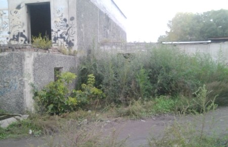 Активисты ОНФ в Хакасии требуют огородить бесхозное строение в Черногорске