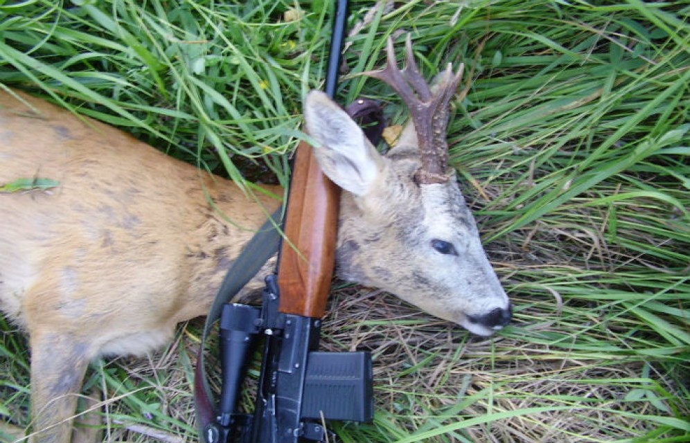 Суд оштрафовал черногорского браконьера на 200 тыс. рублей