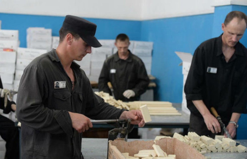 Заключенным в России могут разрешить работать на воле