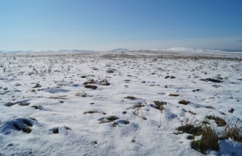 Режим ЧС объявлен в трех районах Хакасии 