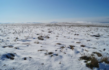 Режим ЧС объявлен в трех районах Хакасии 