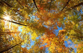 Первая неделя октября в Хакасии будет с дождем и снегом