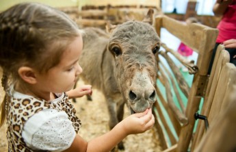 В России могут запретить контактные зоопарки