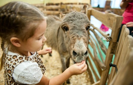 В России могут запретить контактные зоопарки