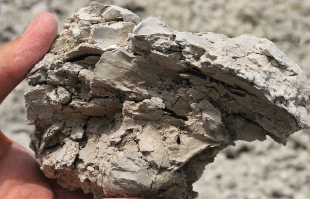 Центрсибнедра продали лицензию на месторождение бентонитовой глины в Хакасии на 30% дороже стартовой цены