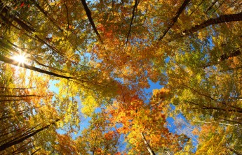 Неделя в Хакасии будет теплой и сухой