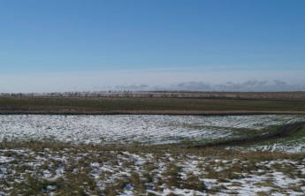 Хакасские аграрии потеряли из-за снега почти 350 млн рублей