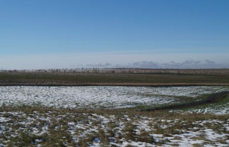 Хакасские аграрии потеряли из-за снега почти 350 млн рублей