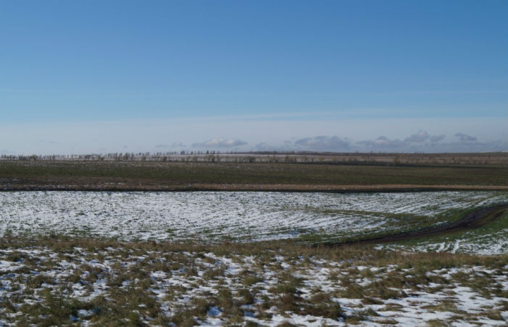 Хакасские аграрии потеряли из-за снега почти 350 млн рублей