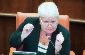 Глава комитета по культуре красноярского парламента попросила следить за базаром