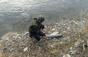 В Хакасии обезвредили артиллерийский снаряд