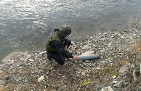 В Хакасии обезвредили артиллерийский снаряд