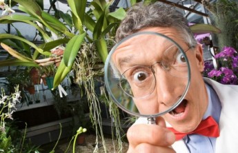 Россия обойдется без ГМО ближайшие 100 лет — академики РАН