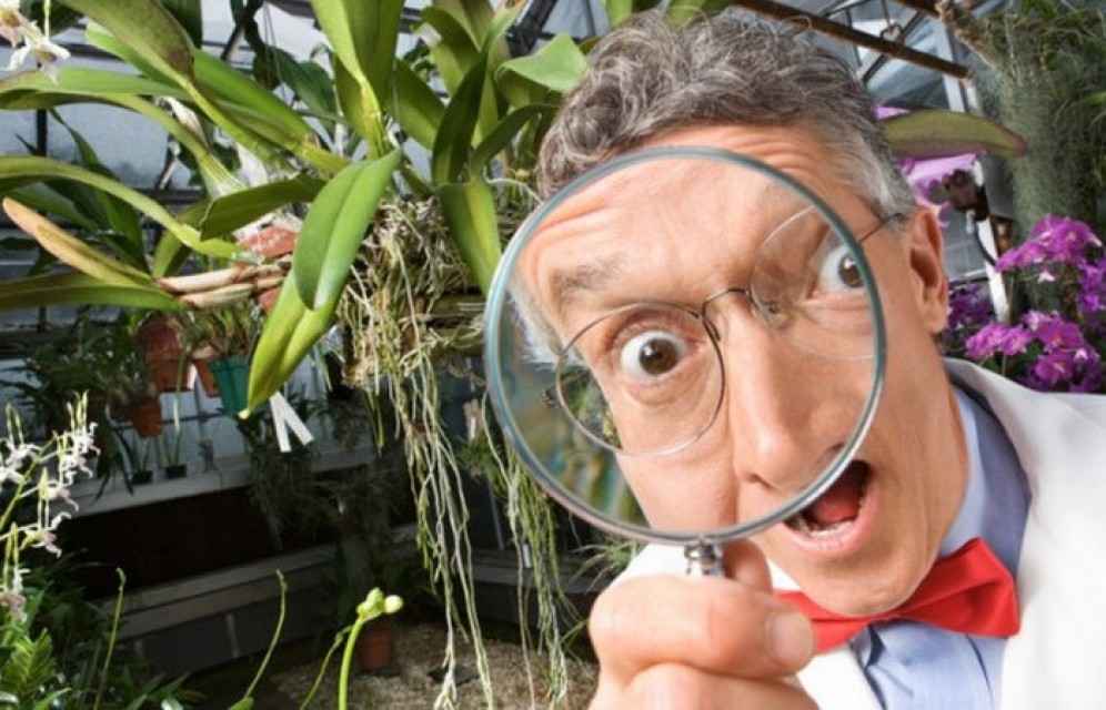 Россия обойдется без ГМО ближайшие 100 лет — академики РАН