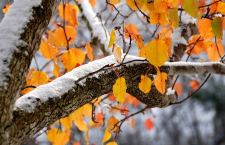 В Хакасию приходит климатическая зима