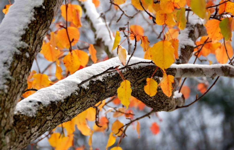 В Хакасию приходит климатическая зима