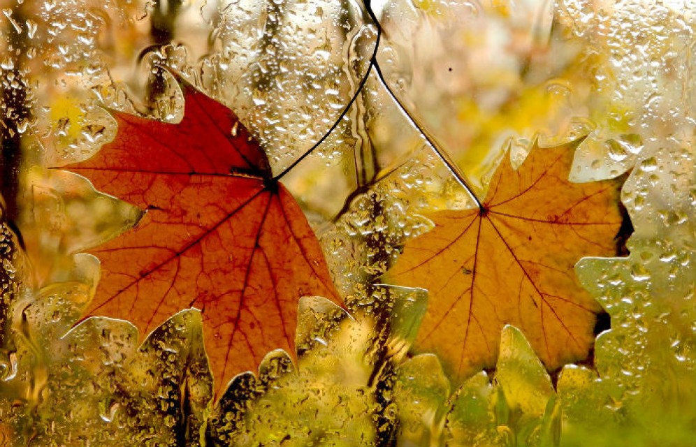 Неделя в Хакасии будет теплой, но дождливой