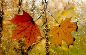 Неделя в Хакасии будет теплой, но дождливой