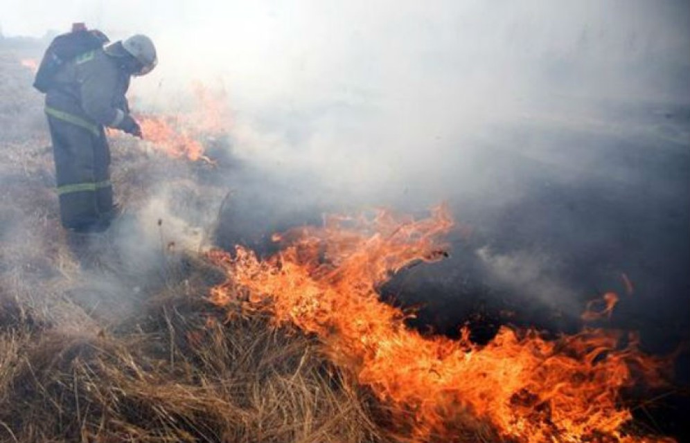 Причиной крупного пала в Боградском районе стала упавшая электроопора