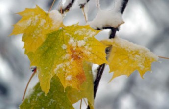 Неделя в Хакасии будет холодной и снежной
