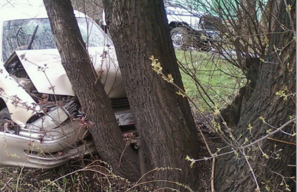 В Абакане пьяный 18-летний угонщик врезался в дерево
