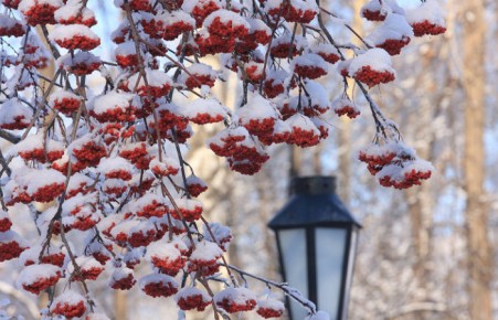 В Хакасии аномальное тепло сменяется морозами и снегом