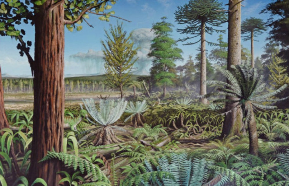 Вулканы Сибири уничтожили последние леса Антарктиды — учёные