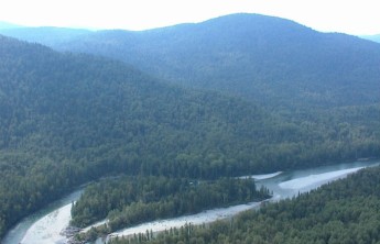 Хакасия получит дополнительно около 40 млн рублей на лесное хозяйство