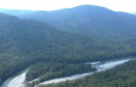 Хакасия получит дополнительно около 40 млн рублей на лесное хозяйство