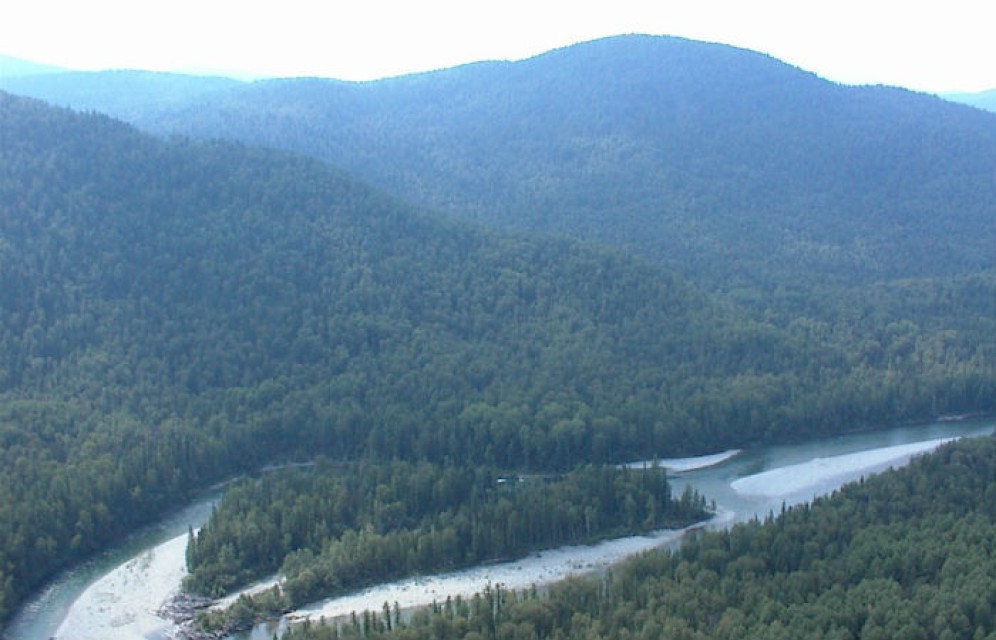 Хакасия получит дополнительно около 40 млн рублей на лесное хозяйство