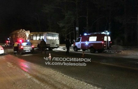 В Красноярском крае в ДТП с лесовозом пострадали 11 человек