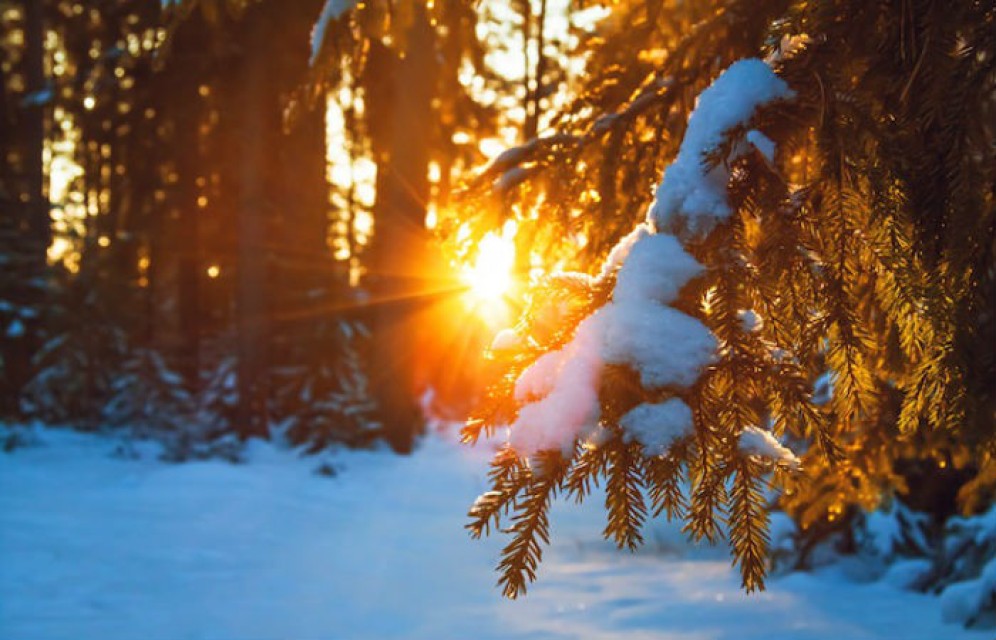 Неделя в Хакасии будет теплой и снежной